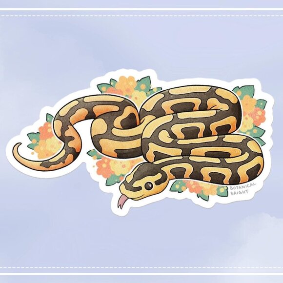 3 for $15‎ - Ball Python Snake Sticker - Waterproof Vinyl Nature Decal - Picture 1 of 7
